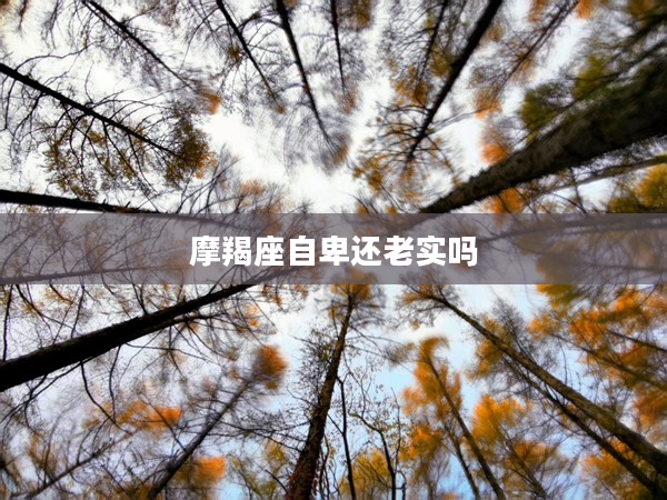 摩羯座自卑還老實嗎