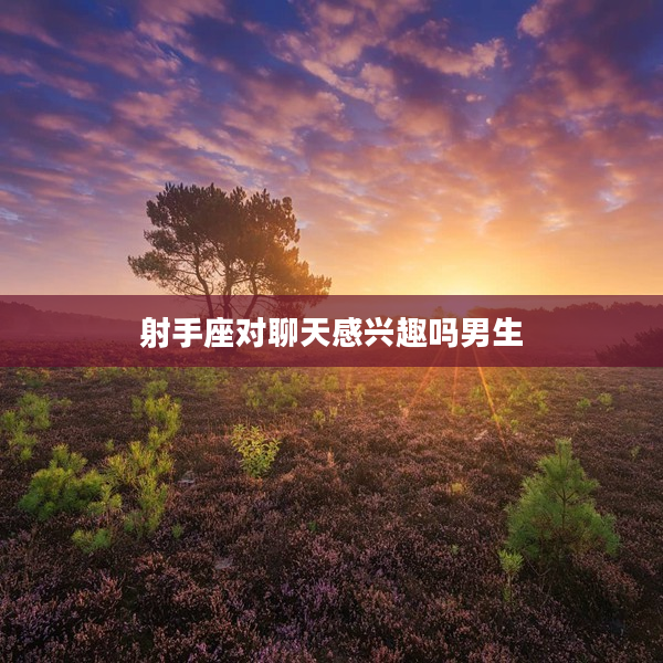 射手座對聊天感興趣嗎男生