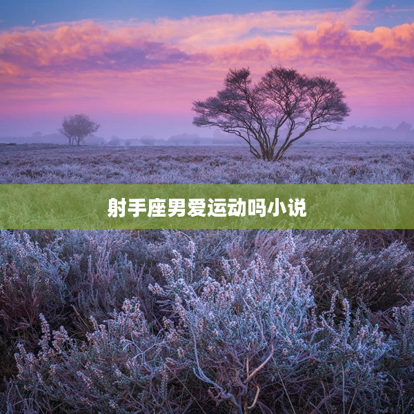 射手座男愛運動嗎小說