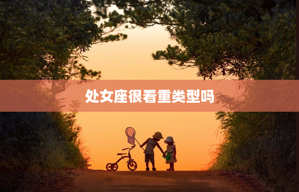 處女座很看重類型嗎