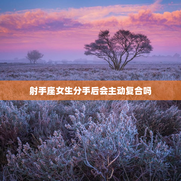 射手座女生分手后會(huì)主動(dòng)復(fù)合嗎