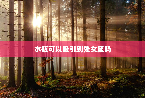 水瓶可以吸引到處女座嗎