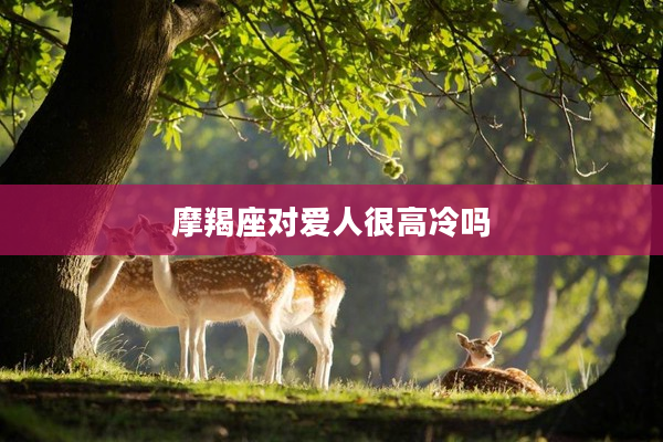 摩羯座對愛人很高冷嗎