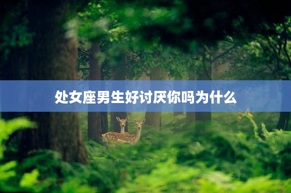 處女座男生好討厭你嗎為什么