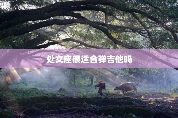 處女座很適合彈吉他嗎