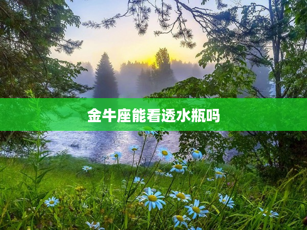 金牛座能看透水瓶嗎