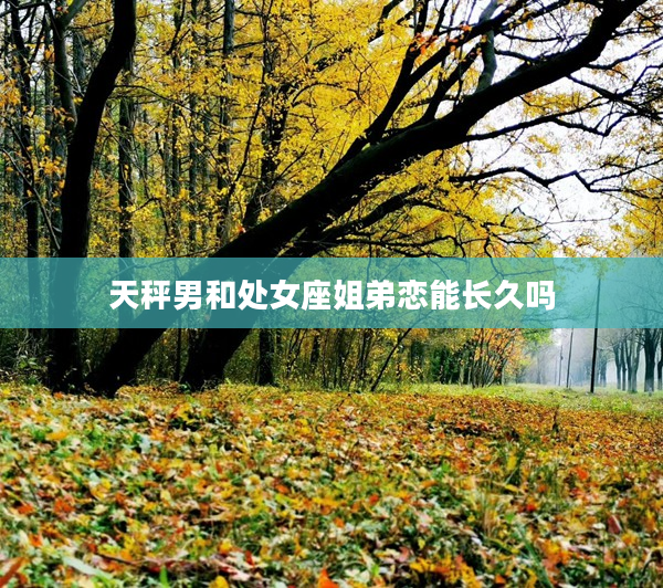 天秤男和處女座姐弟戀能長久嗎