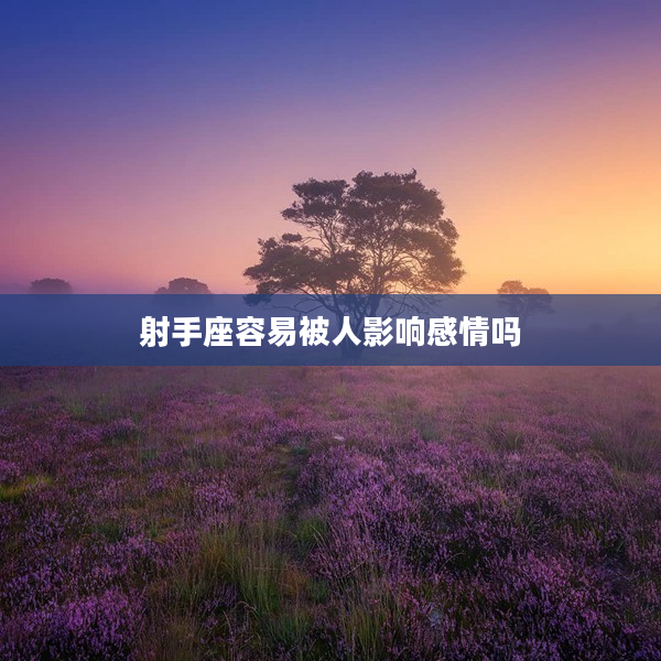 射手座容易被人影響感情嗎