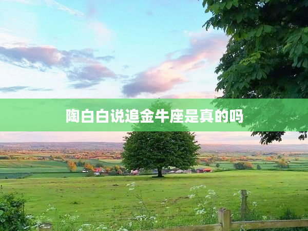 陶白白說追金牛座是真的嗎