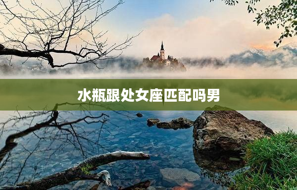 水瓶跟處女座匹配嗎男