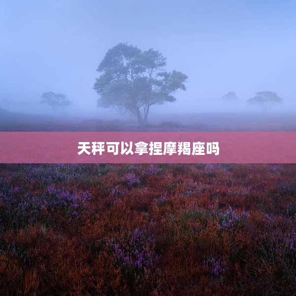 天秤可以拿捏摩羯座嗎