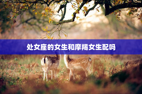 處女座的女生和摩羯女生配嗎