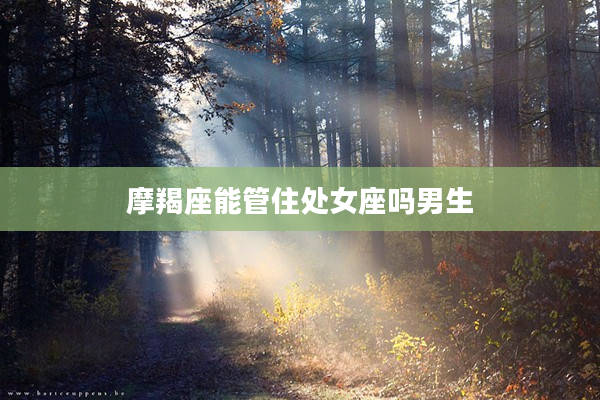 摩羯座能管住處女座嗎男生