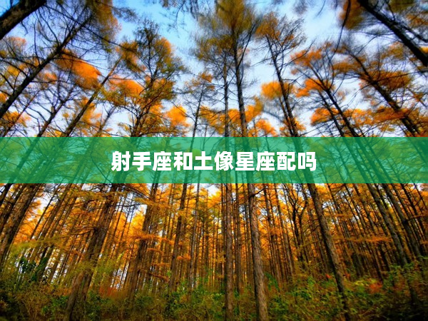 射手座和土像星座配嗎