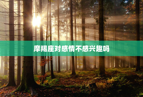 摩羯座對感情不感興趣嗎