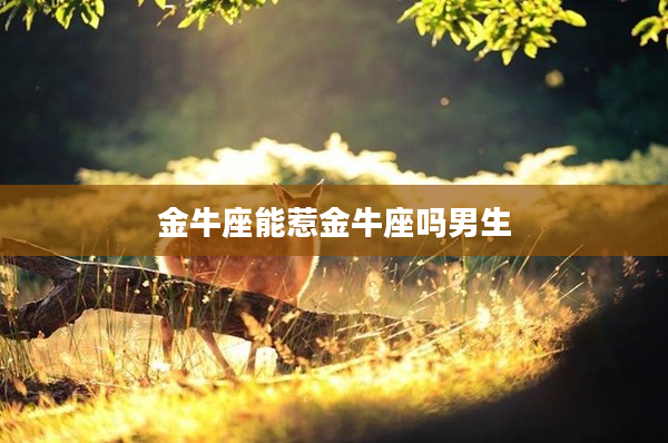 金牛座能惹金牛座嗎男生