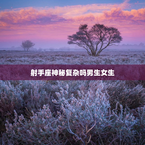 射手座神秘復(fù)雜嗎男生女生