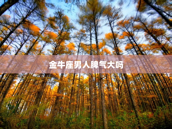 金牛座男人脾氣大嗎