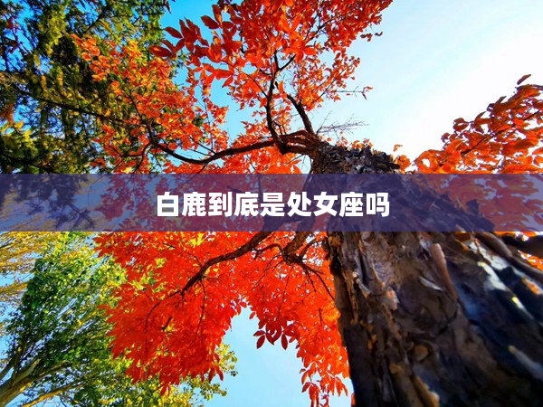 白鹿到底是處女座嗎