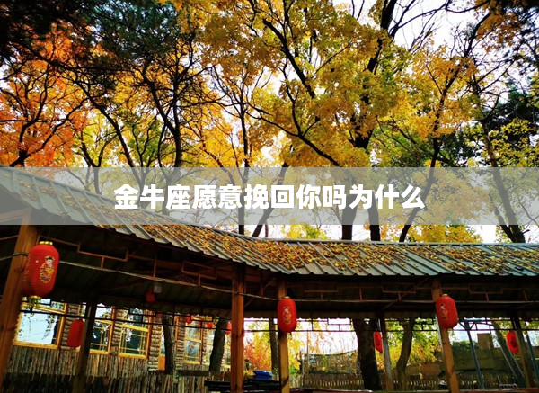 金牛座愿意挽回你嗎為什么