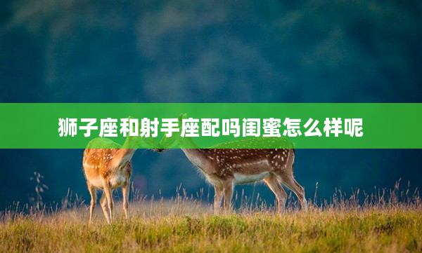 獅子座和射手座配嗎閨蜜怎么樣呢