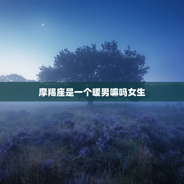 摩羯座是一個暖男嘛嗎女生