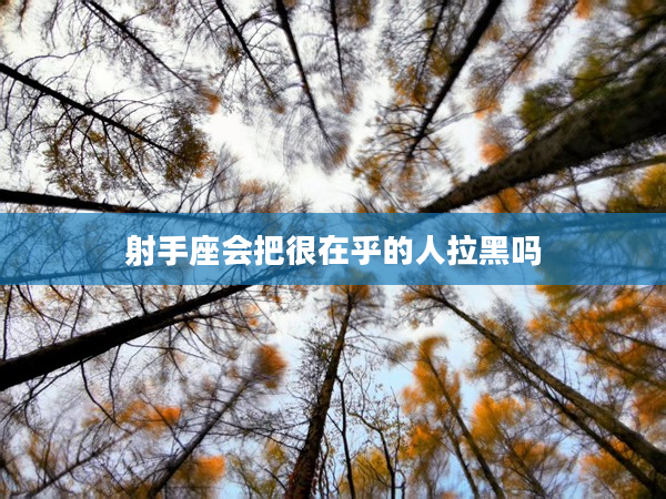 射手座會把很在乎的人拉黑嗎