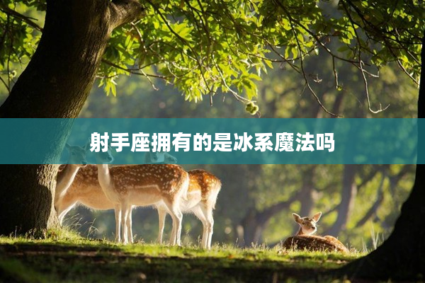 射手座擁有的是冰系魔法嗎