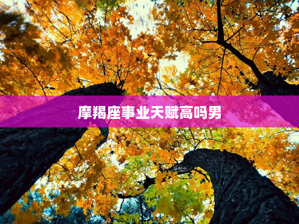 摩羯座事業(yè)天賦高嗎男