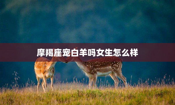 摩羯座寵白羊嗎女生怎么樣