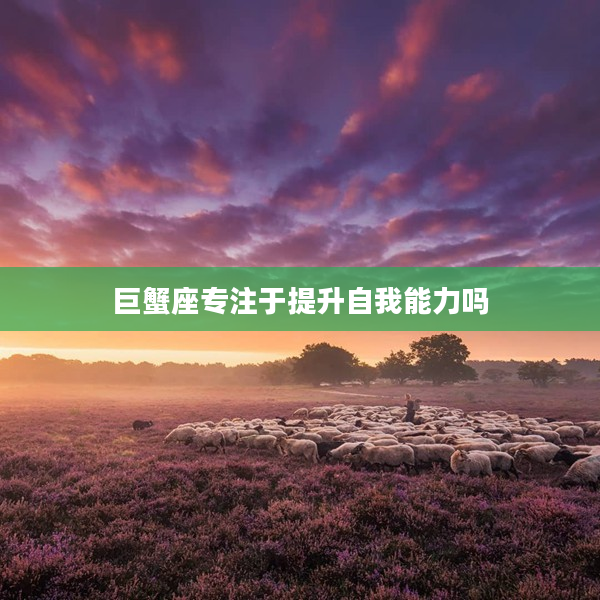 巨蟹座專注于提升自我能力嗎