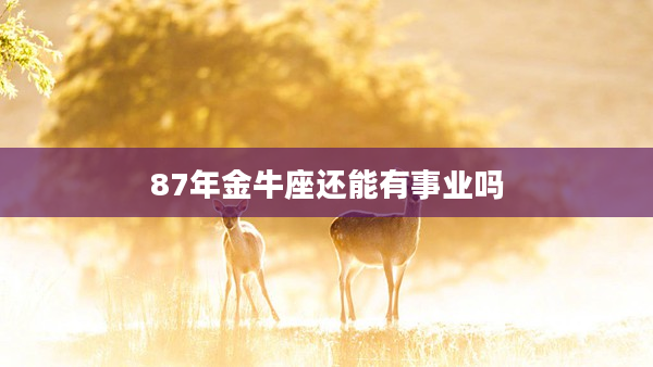 87年金牛座還能有事業嗎