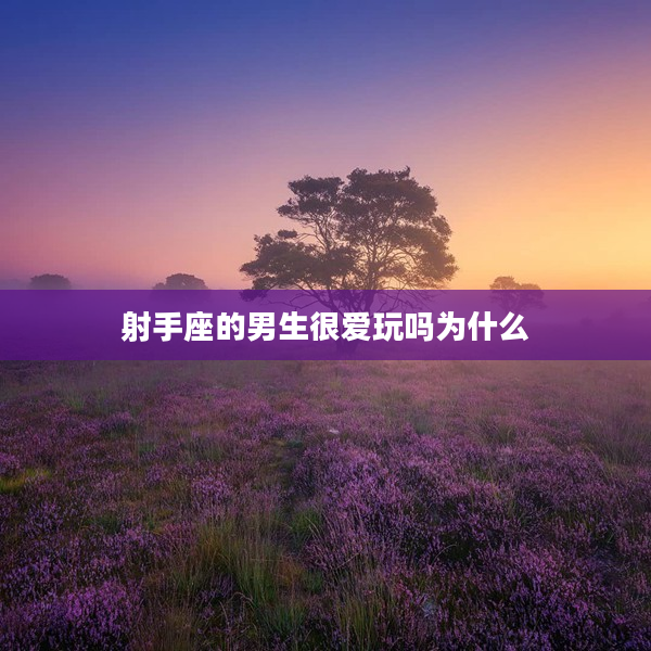 射手座的男生很愛玩嗎為什么