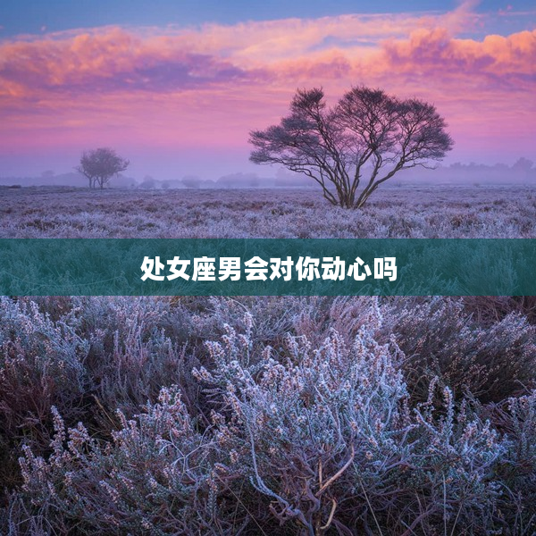 處女座男會對你動心嗎