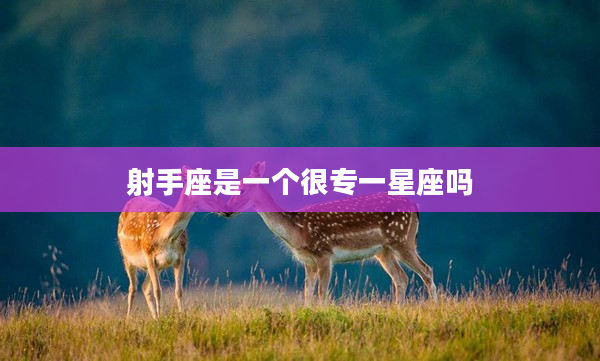 射手座是一個(gè)很專一星座嗎