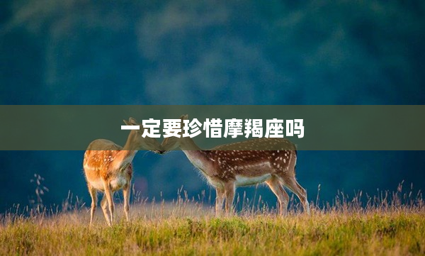 一定要珍惜摩羯座嗎