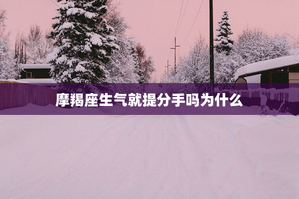 摩羯座生氣就提分手嗎為什么