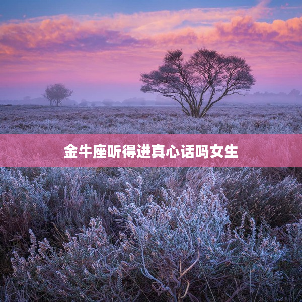 金牛座聽得進真心話嗎女生