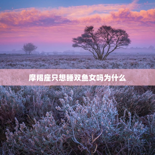 摩羯座只想睡雙魚女嗎為什么