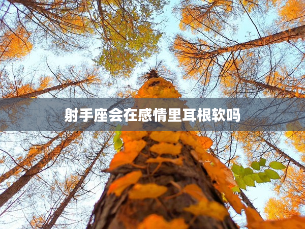 射手座會在感情里耳根軟嗎