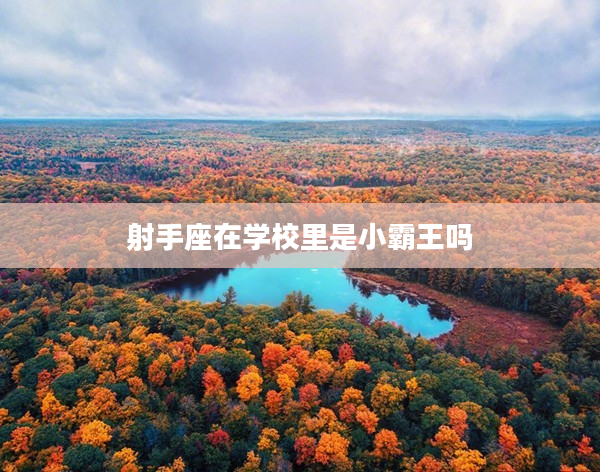 射手座在學校里是小霸王嗎