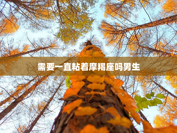 需要一直粘著摩羯座嗎男生