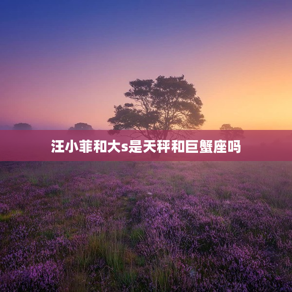 汪小菲和大s是天秤和巨蟹座嗎