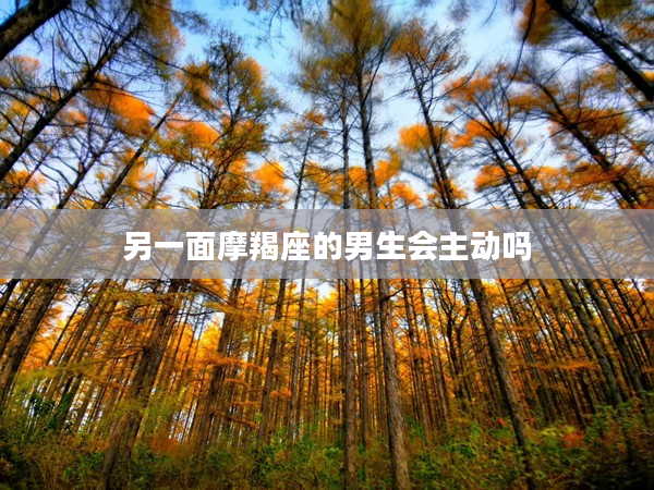 另一面摩羯座的男生會主動嗎