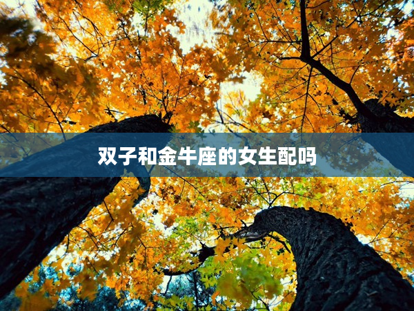 雙子和金牛座的女生配嗎