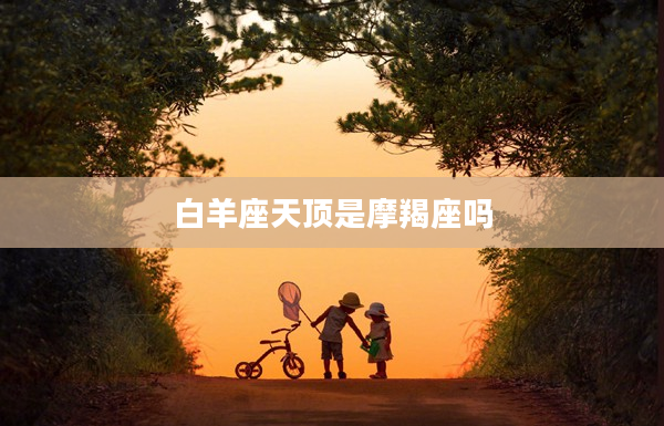 白羊座天頂是摩羯座嗎