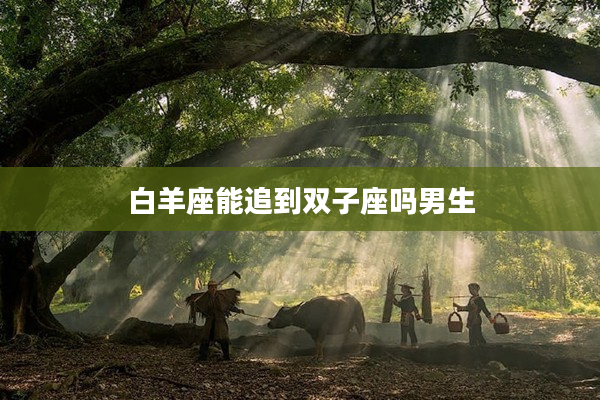 白羊座能追到雙子座嗎男生