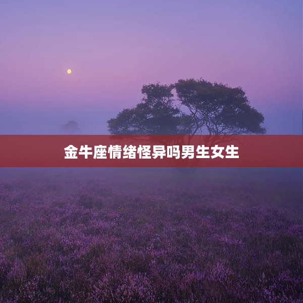 金牛座情緒怪異嗎男生女生