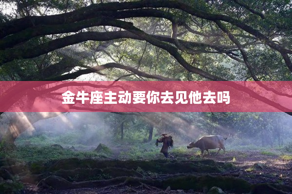 金牛座主動要你去見他去嗎