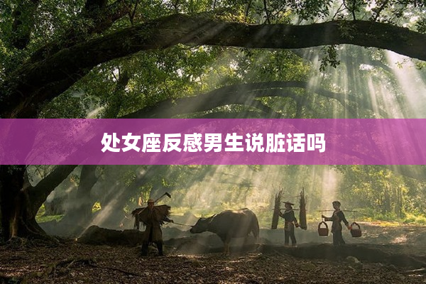 處女座反感男生說臟話嗎